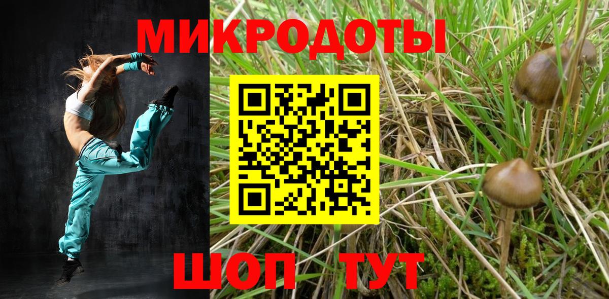Псилоцибиновые грибы мицелий  Вход с VPN  Чита 