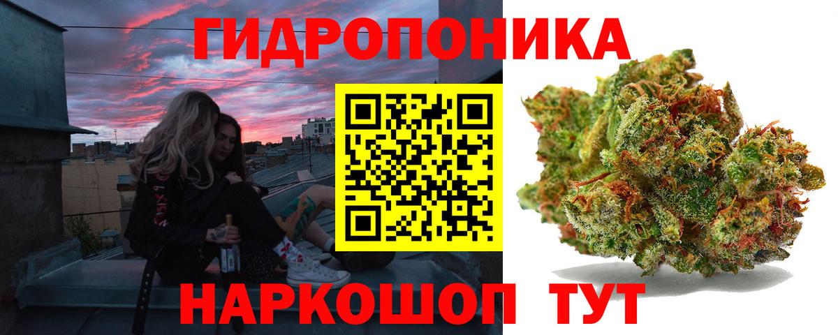 Каннабис сатива Чита